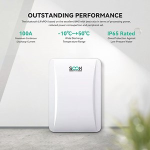 [Hot Item] Natural Cooling System Electric Vehicle Battery 51.2V 100ah Car Inverter Reliable LFP Cells Lithium Ion Battery