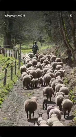 DJ Green machine (@lagreenmachine)’s videos with son original - DJ Green machine