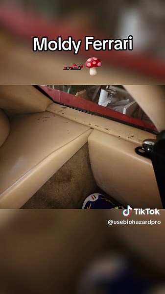 This week we got a call about an all original 1985 Ferrari Testarosa Monospecchio that had been plagued with mold due to a humid and cool garage without proper climate controls in place. This supercar has been the fantasy of many since its inception. This vehicle will require a full and comprehensive mold remediation service, both inside and out. Hint: it's not cheap.☣️ #Ferrari #AutoDetailing #mold #biohazard #fyp #viral #foryou
