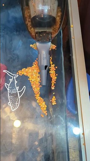 Dust buster Advanced Vacuum Cleaner Review👍Portable Cordless Vacuum Cleaner #tools #asmr #shorts 27