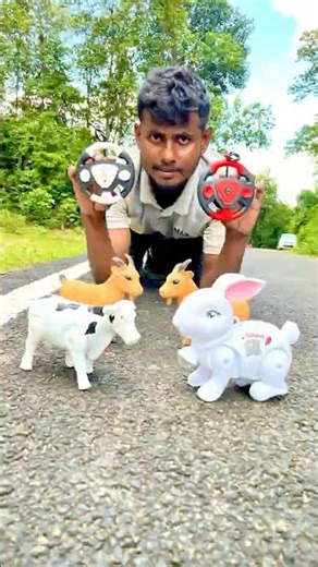 Remote control Goat bhed unboxing and testing review #shots