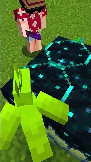 269 Minecraft Build Hacks You NEED To Know!