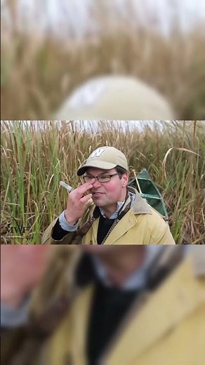 Mallard Call - Feeding Chuckle