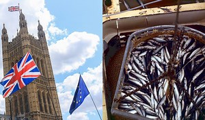 EU and UK agree post-Brexit fishing quotas for 2022 - Extra.ie