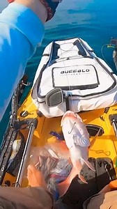 114K views · 274 reactions |  | CarpStore | Facebook