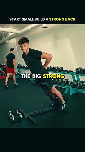 Build a Healthy Spine (Step-by-Step Back Progression Guide) @lowbackability #backpain #shorts