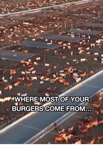 Pretty simple. Support small local farms, support small business, support what’s right. #burgers