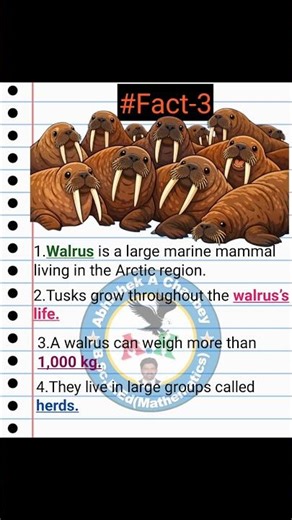 Facts about walrus