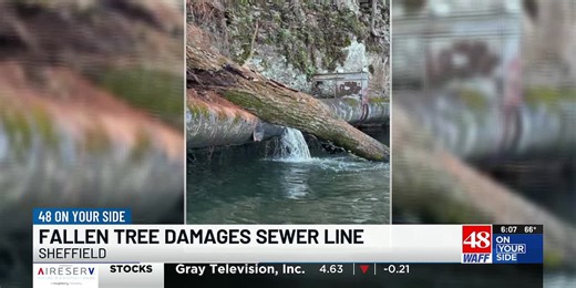 Utility crews in Sheffield repairing sewer line damaged by fallen tree