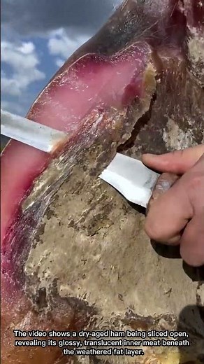 What Does the Inside of Dry-Cured Ham Look Like?