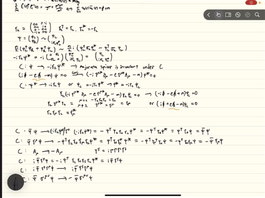 Solution for Dirac Eqs. & C transformation