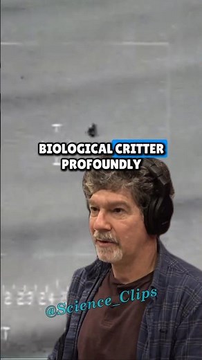 Are UFOs Just Advanced Projections? Bret Weinstein on Joe Rogan