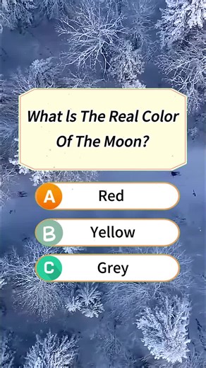 Exploring Colors and Quiz Questions About Nature