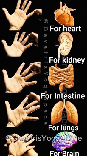 Best Mudras 👌|| मुद्रा के लाभ || #mudra #yogmudra #yoga