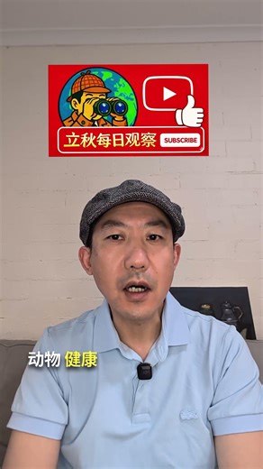 路透社：中国取消禁令 对爱尔兰牛肉重新打开市场