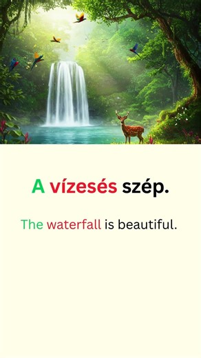 The Most basic Hungarian phrases for Beginners! 🇭🇺 #shorts #language #hungarian #hungary #magyar