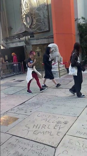 TCL Chinese Theatre Hollywood | Iconic Los Angeles Movie Landmark #Shorts #Hollywood #LosAngeles