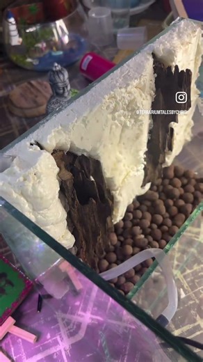 3rd part paluderium 🌿🧘🏾‍♂️🪴Easy to learn