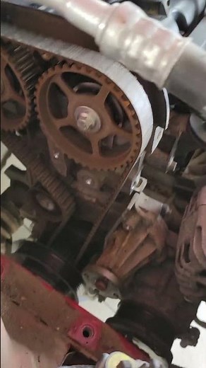 Ford Focus timing belt replacement #shortsvideo #carservice #shortsfeed #car