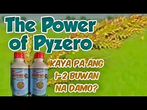Best Herbicide for Grass Weeds/Controls Weeds Up to 60 Days