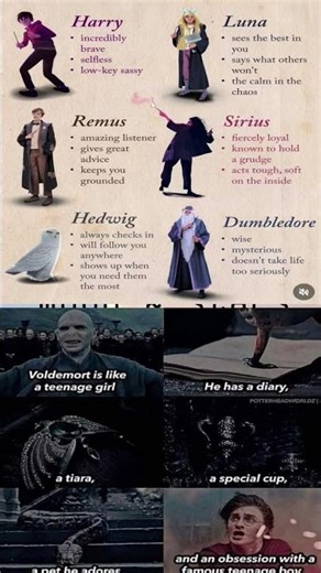 This image is a two-part compilation of Harry Potter fan content, #mugglenet #muggles #happypotter #