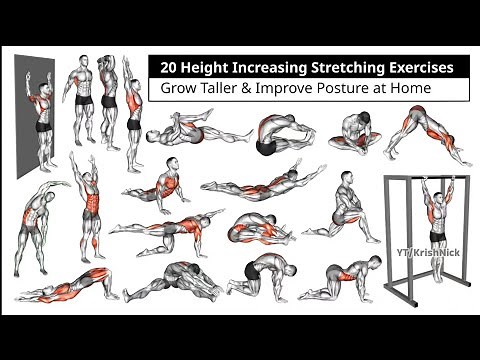 20 Height Increasing Stretching Exercises | Grow Taller & Improve Posture at Home