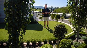 TifTuf Hybrid Bermuda has been taking the lawn industry by storm in recent years. TifTuf has superior drought tolerance, speedy recovery, and just like its name is tough and hardy. Because of traits like this, TifTuf is now commonly referred to as the ‘smart grass’ or ‘alpha grass’. In this video, we take a closer look at all there is to know about TifTuf... | Lawn Solutions Australia