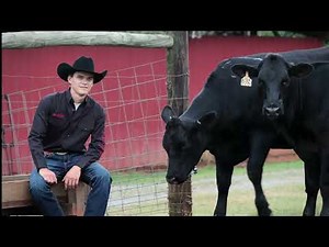 Wesley was diagnosed with ADHD...and LearningRx helped. Here's his story...