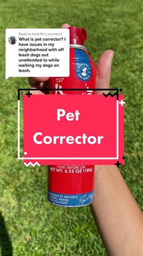 Dynamic Dog Training on TikTok