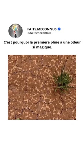 Faits.Meconnus on Instagram: "L’odeur de la première pluie, souvent appelée pétrichor, est réconfortante et nostalgique pour de nombreuses personnes. Ce parfum unique est créé lorsque l’eau de pluie se mélange à des huiles libérées par les plantes et à un composé produit par les bactéries du sol. Lorsque les gouttes de pluie frappent le sol sec, de minuscules particules transportant ce parfum sont libérées dans l’air. Notre cerveau relie souvent cette odeur à des souvenirs calmes, à la nature et