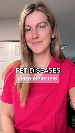 Understanding Leptospirosis: Transmission, Symptoms, and Prevention