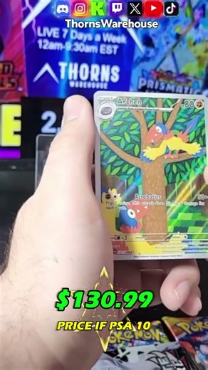 Archen Just Vibing In The Tree #Pokemon #PokemonTCG #PokemonCommunity