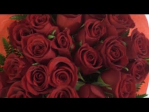 Beautiful flowers photos slideshow red roses