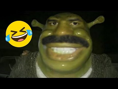 SI TE RÍES PIERDES 😂 NIVEL DIOS 2025 💀 [999% IMPOSIBLE] Videos De Risa Muy Graciosos