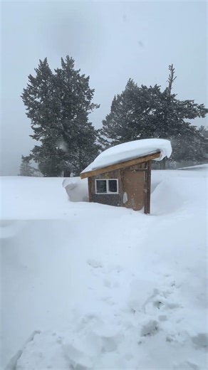 Snow piling up like never before #shorts #winter #extreme