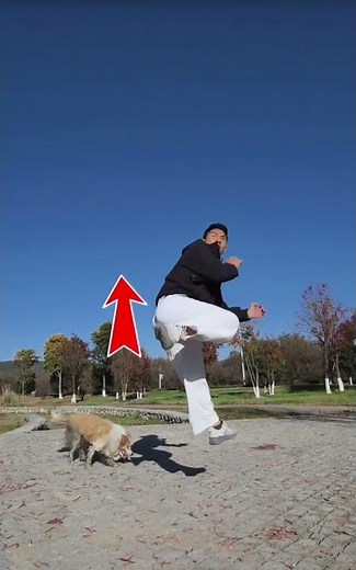 How to Do a Jump Back Kick | Step-by-Step Tutorial