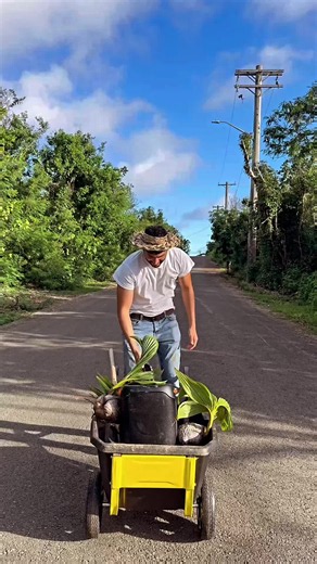 CHamoru Cover: Bring It On Home to Me — Chule’ Mågi