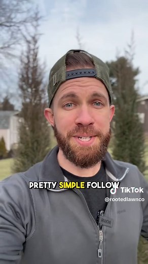 Ultimate Guide to Growing a Healthy Lawn from Seed