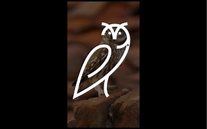 猫头鹰简笔LOGO概念设计过程 upup社群