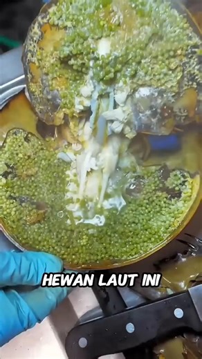 hewan cangkang keras ini bisa dimakan #faktaunik #food #belangkas