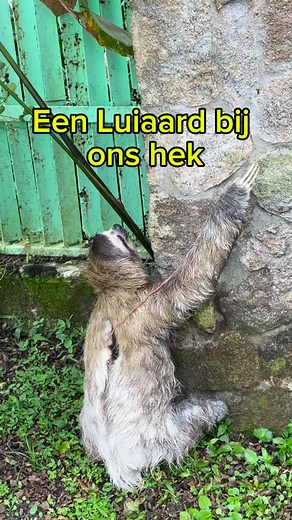 Miek Bekkers on Reels