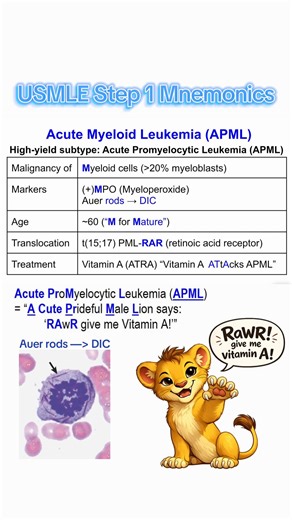 USMLE Step 1 Mnemonics: Acute Myeloid Leukemia (AML) & APML 🧫🩸 For more Step 1 studying content check out my new page @Ashley M2 🩺! #usmlestep1 #step1 #medschool #medstudent #mnemonics