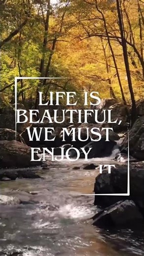 Multiple Bible verses on Forgiveness