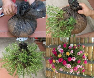 98K views · 2.7K reactions | Automatic Watering System Hanging Garden | DIY Balcony Garden | Facebook