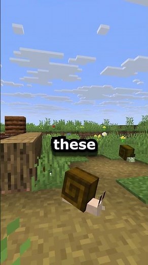 The Minecraft Snail | Gastropod Galore Mod