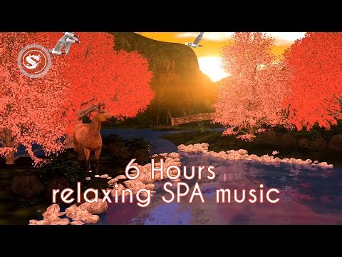 6 Hours Relaxing Spa Music, Sleep Music, Stress Relief, Meditation, Healing, Yoga, Zen, Relax, Sleep