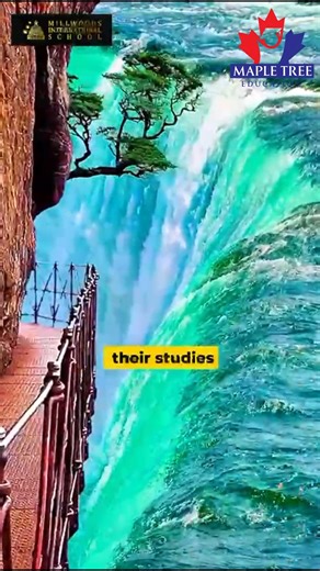 1.2K views · 18 reactions | Discover Millwoods International School...