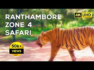 Ranthambore Zone 4 Safari (October 2021) 4K Video