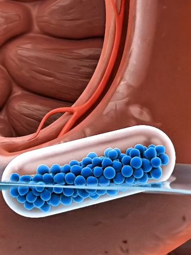 How Medicine Works in Your Stomach (3D Animation)