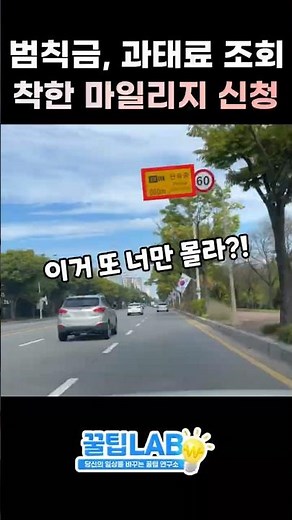 교통 범칙금,과태료 조회,착한 운전 마일리지 신청하는 방법